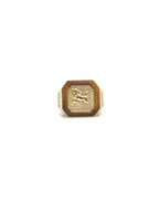 Anillo Caballo - 10K
