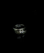 WOMEN'S - Anillo_DuoLineas Plata 925